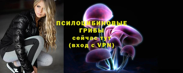 молекула духа Приозерск