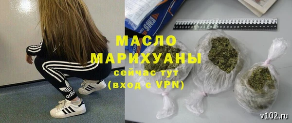стаф Арсеньев