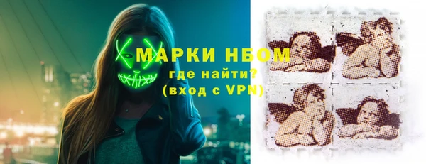 стаф Арсеньев