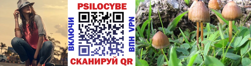 Галлюциногенные грибы Psilocybine cubensis  Шлиссельбург 