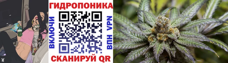Бошки марихуана White Widow  как найти закладки  Шлиссельбург 